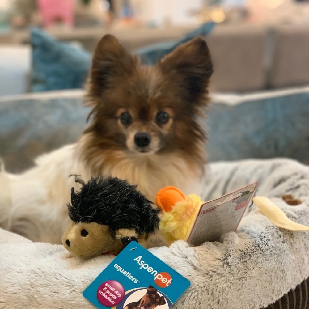 Meet your Posher, Kim